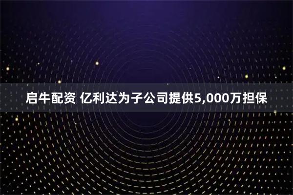启牛配资 亿利达为子公司提供5,000万担保