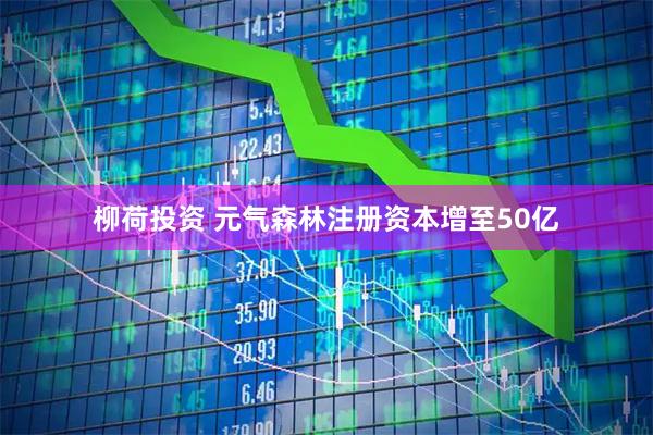 柳荷投资 元气森林注册资本增至50亿