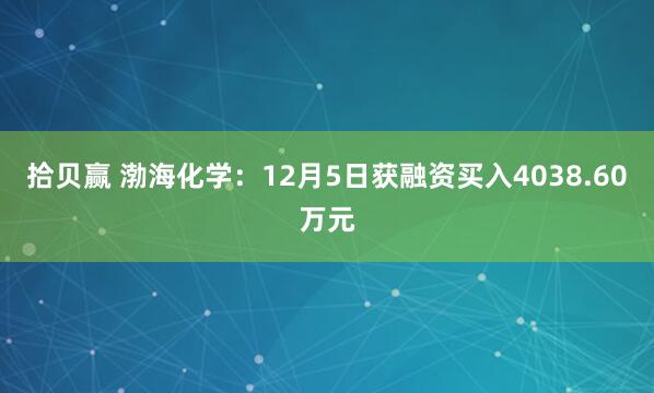拾贝赢 渤海化学：12月5日获融资买入4038.60万元