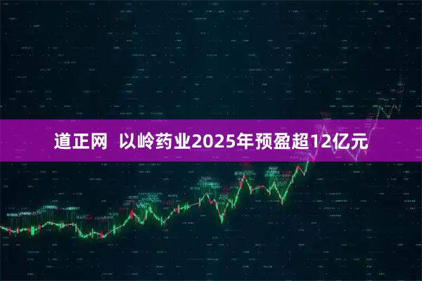 道正网  以岭药业2025年预盈超12亿元