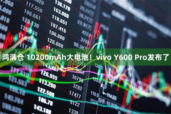 鸿满仓 10200mAh大电池！vivo Y600 Pro发布了