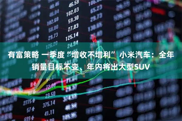 有富策略 一季度“增收不增利” 小米汽车：全年销量目标不变、年内将出大型SUV