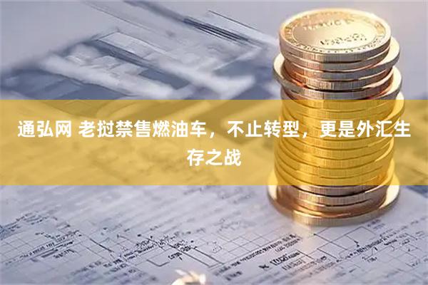通弘网 老挝禁售燃油车，不止转型，更是外汇生存之战